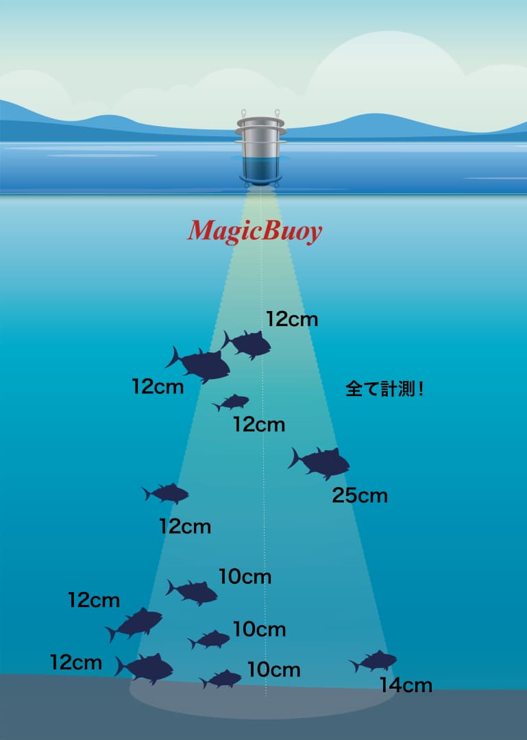 AquaMagicの魚体長計測イメージ