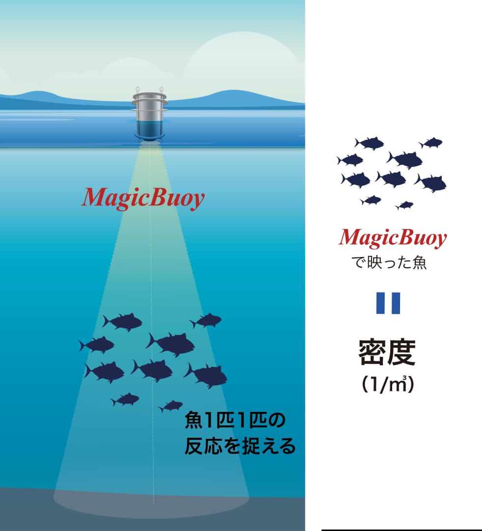 AquaMagicの手法:【直接法】