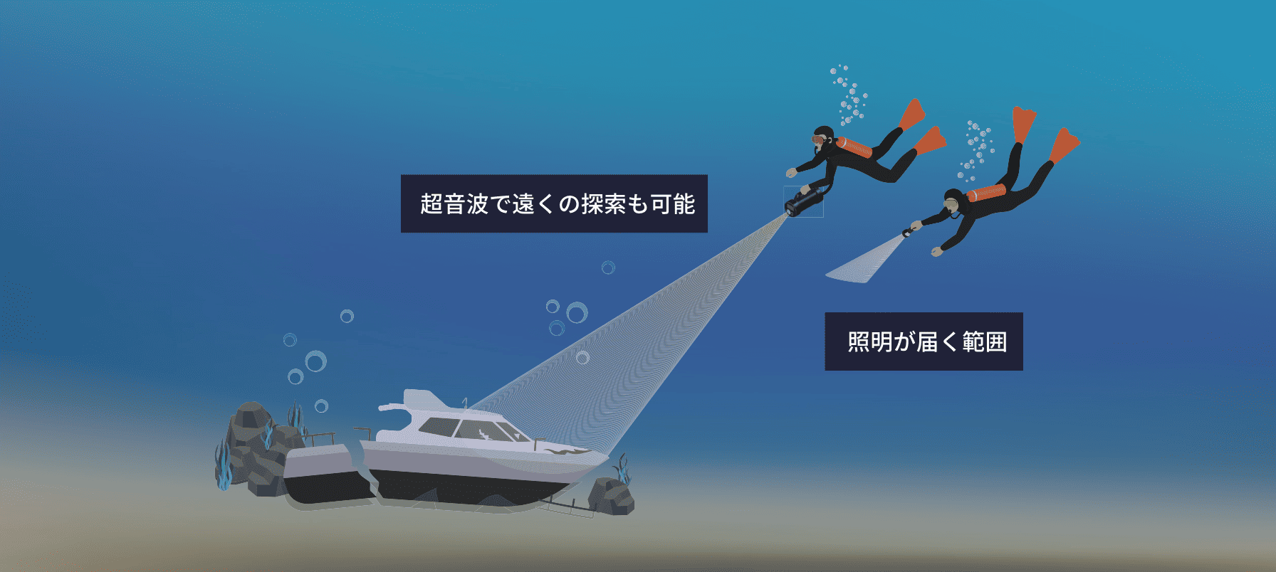 DolphinScanPortable