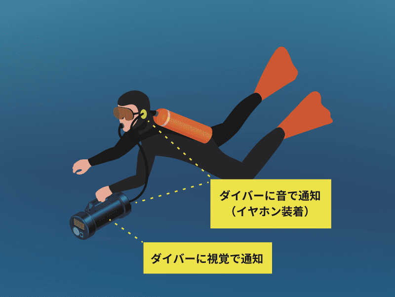 DolphinScanPortable