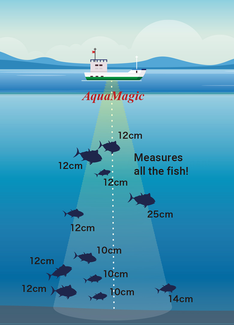 Image of AquaMagic fish body length measurement