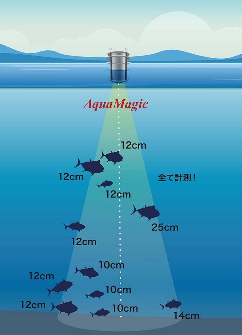 AquaMagicの魚体長計測イメージ