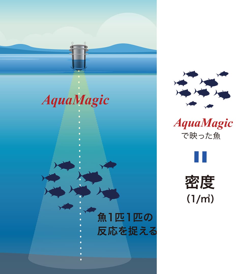 AquaMagicの手法：【直接法】