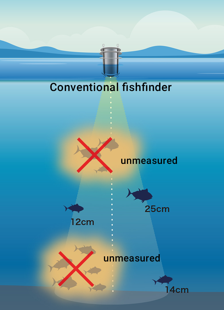 Image of conventional fish body length measurement