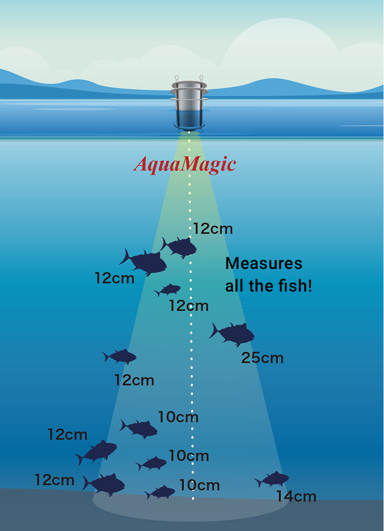 Image of AquaMagic fish body length measurement