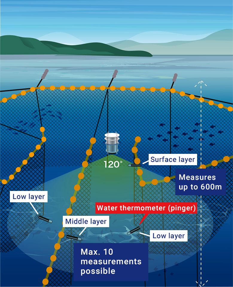 remote water thermometer options