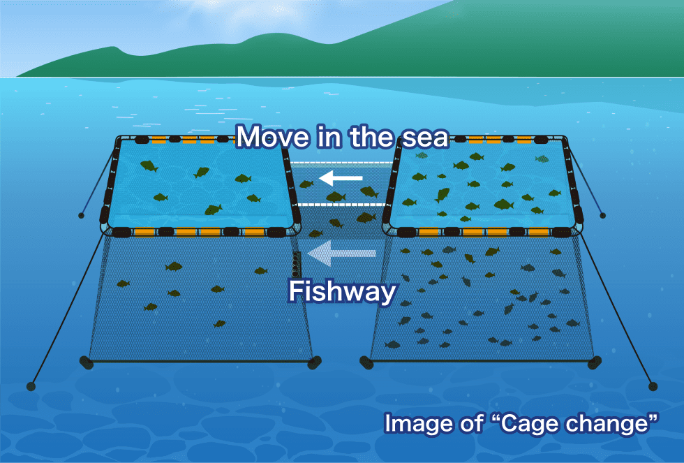 Image of Cage change