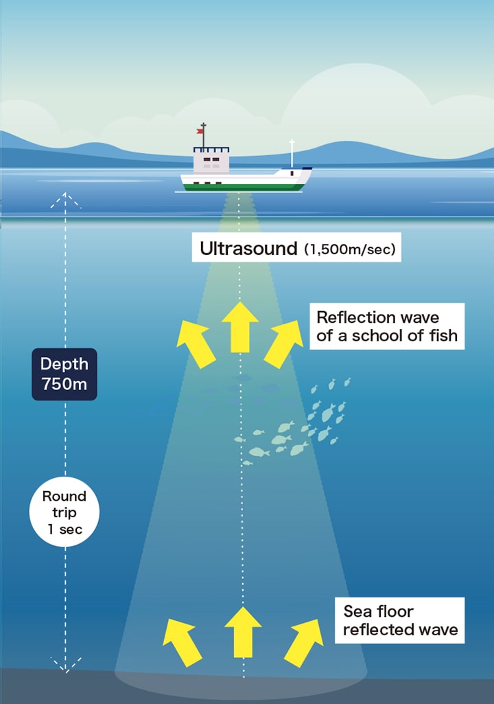 Fish Finder System