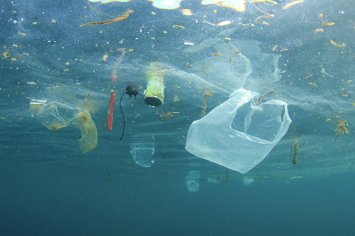 micro plastic