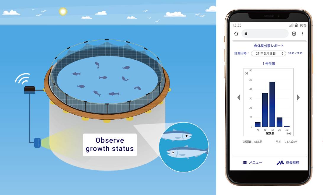 Growth monitoring system