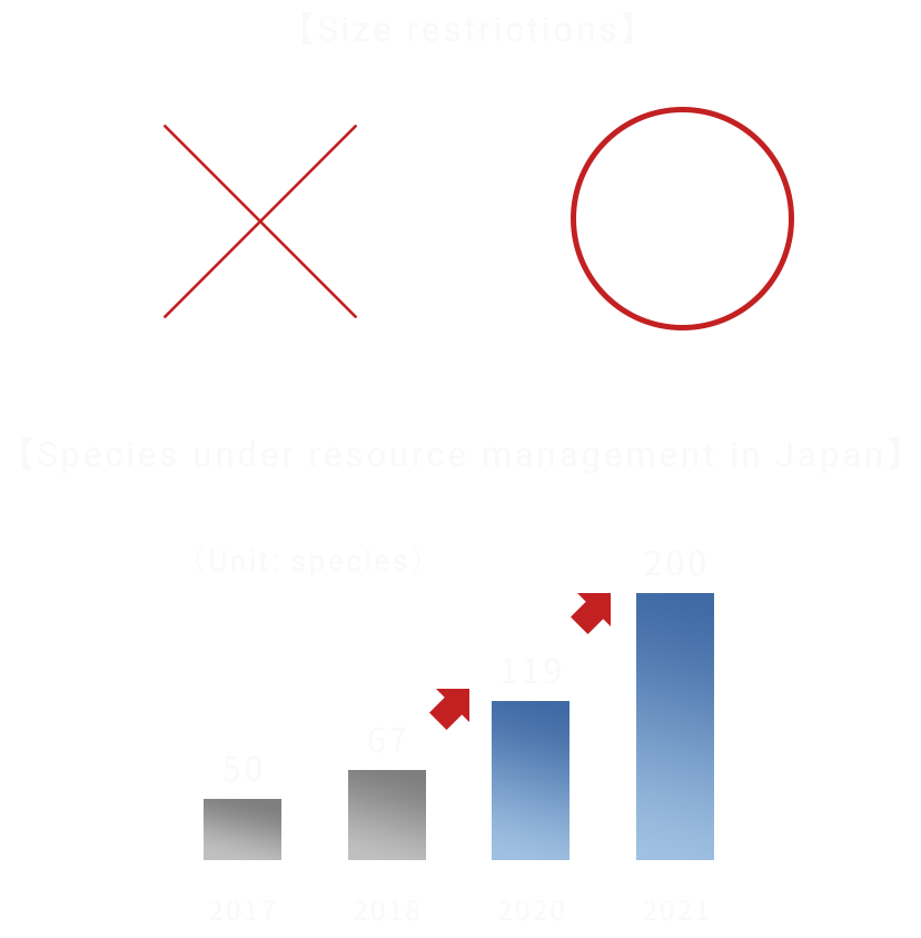 【Size restrictions】【Species under resource management in Japan】
