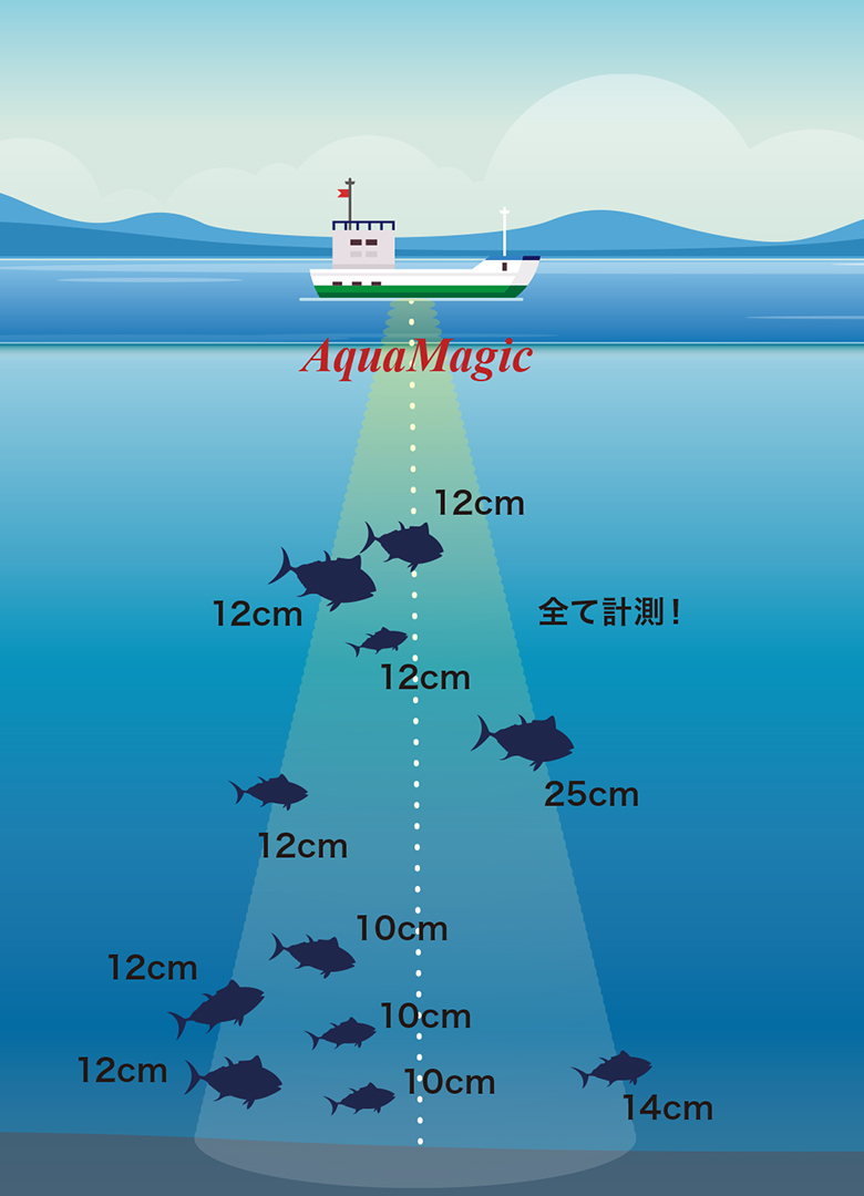 AquaMagic の魚体長計測イメージ
